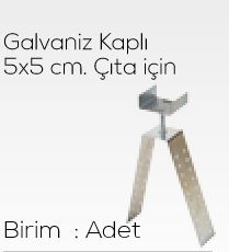 Omurga taşıma profili